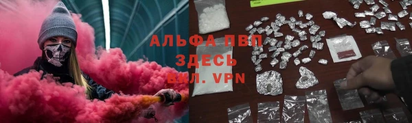 spice Дмитриев