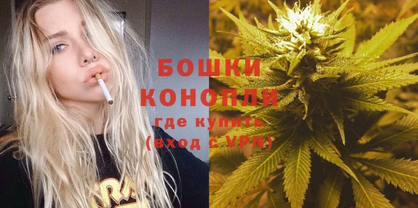 spice Дмитриев