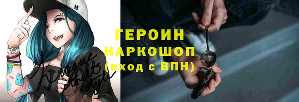 spice Дмитриев