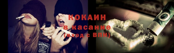 spice Дмитриев