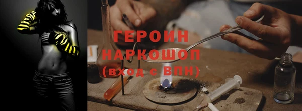 spice Дмитриев