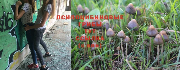 spice Дмитриев