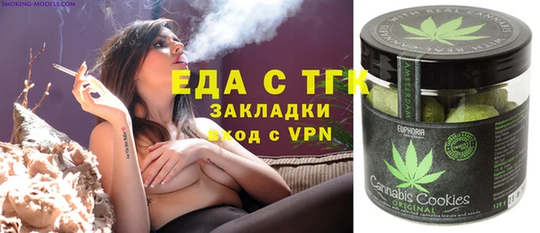 spice Дмитриев