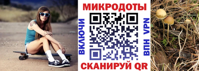 Купить  Кашин  Галлюциногенные грибы ЛСД 